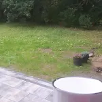 Siedlisko Na Ustroniu *