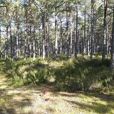 Siedlisko Na Ustroniu * Sasino