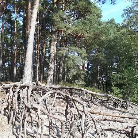 Siedlisko Na Ustroniu Nyaraló *