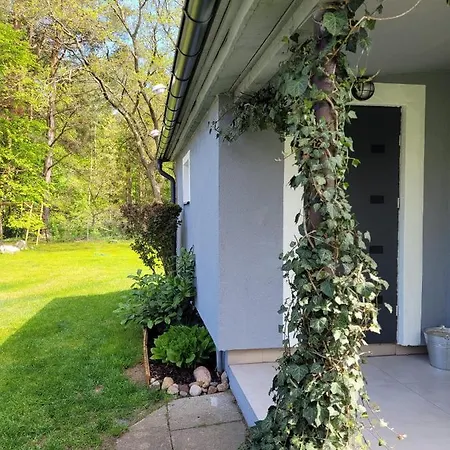 Siedlisko Na Ustroniu Sasino