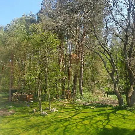 Siedlisko Na Ustroniu Sasino