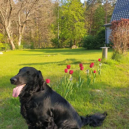 Feriehus Siedlisko Na Ustroniu Sasino