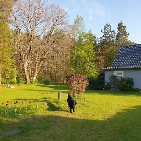 Siedlisko Na Ustroniu *