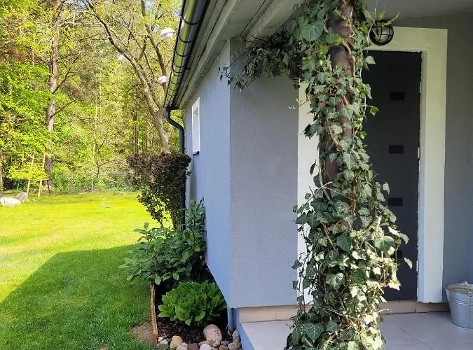 Siedlisko Na Ustroniu Sasino