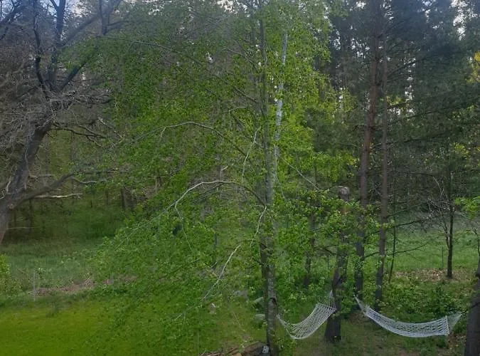 Siedlisko Na Ustroniu * Sasino