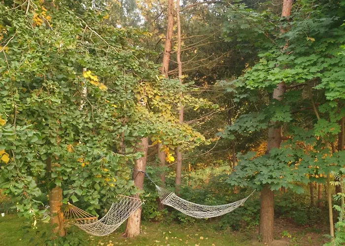 Hébergement de vacances Siedlisko Na Ustroniu Sasino