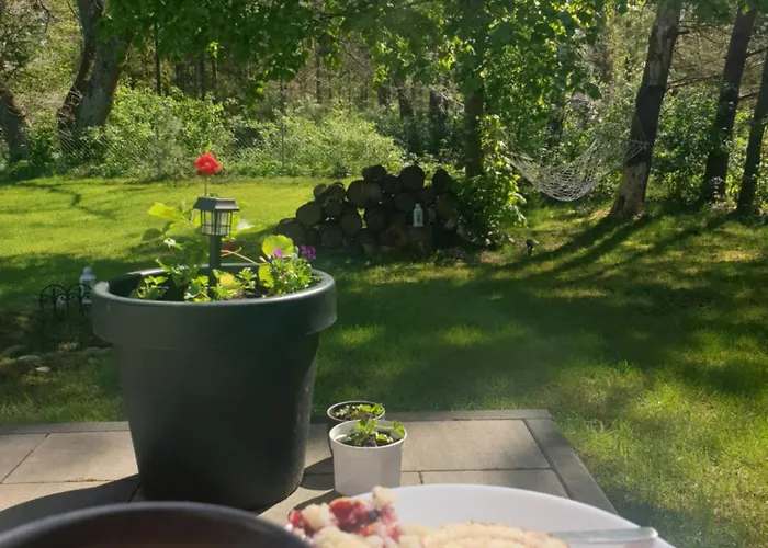 Siedlisko Na Ustroniu * Sasino