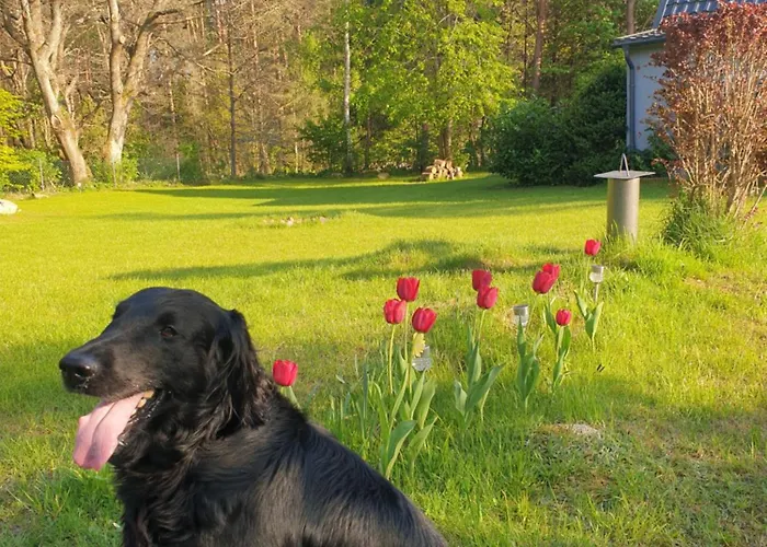 Hébergement de vacances Siedlisko Na Ustroniu Sasino